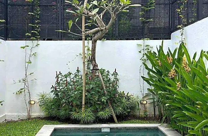 Artha Canggu By Fays Hospitality Villa *